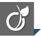Viadeo - Yceo management